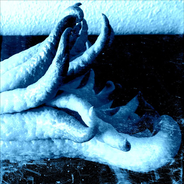 Buddha's Hand ( the Ice C Your Blue version )