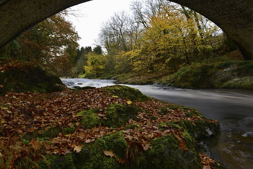 Bridge over the River Tywi | by philip bailey
