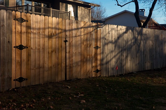 Fence, Trendwood Park, November 25, 2012