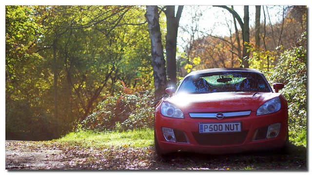 Autumn Opel