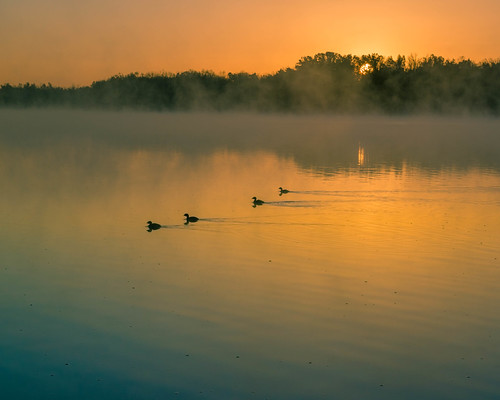Commuting by Paul G Newton, lake water fog sunrise day unitedstates steam arkansas fayetteville fogg