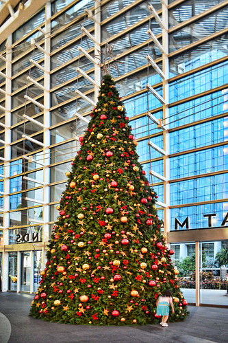 Christmas Tree | by chooyutshing