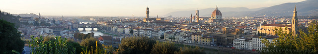 Panoramic view ~ Florence, Italy