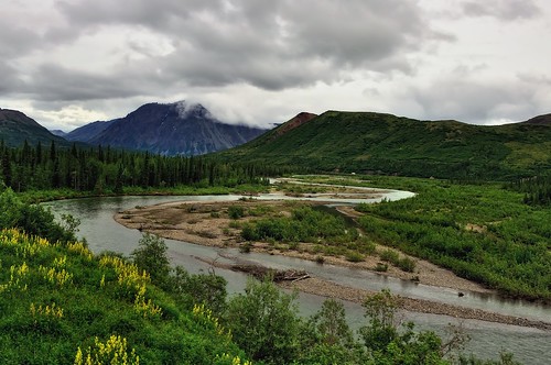 trees mountains nature alaska day unitedstates cloudy overcast cantwell day12 nenanariver project365 panoramamountain colorefexpro denalistar cloudsabove nikond90 trainridetodenali outdoorviewingdeck curveinriver
