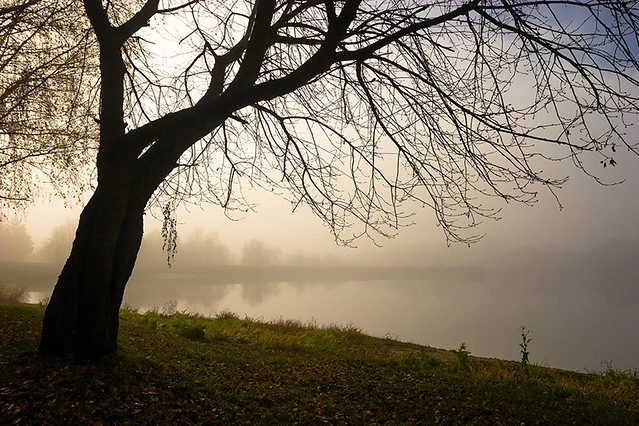 065 - Misty Lakeside
