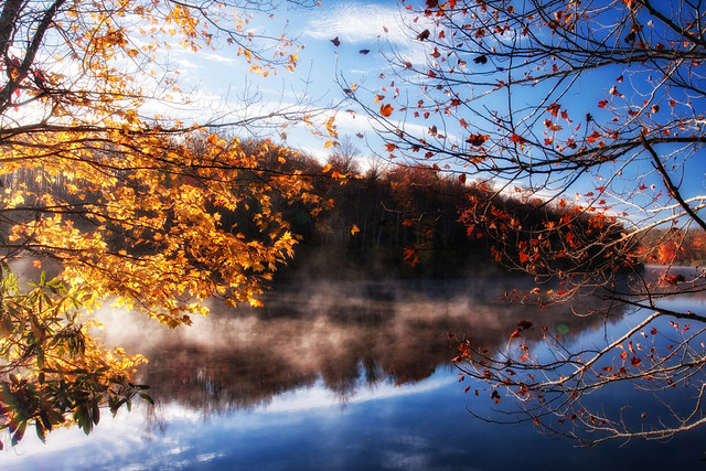 Price Lake Sunrise Between the Leaves
