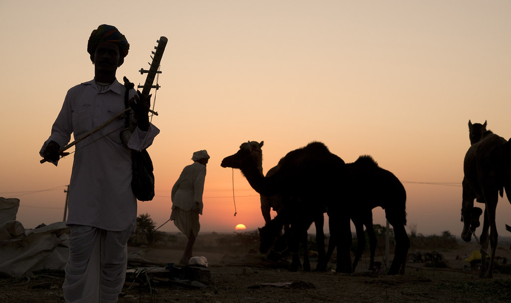 Camel safari in Pushkar