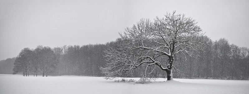 2012 December - First Snow