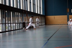 2008 Training mit Kanazawa SOKE in Bulle