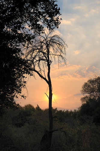 africa sunrise dawn botswana