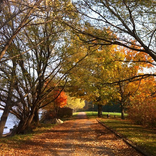 #autumn #path #lake #water #ocean #pond #fall #leaves #trees #hamlin #hamlinbeach #branches #beautiful #lovely # hot #sunset #orange #unedited #nofilter by cirienphoenix, square squareformat iphoneography instagramapp uploaded:by=instagram foursquare:venue=4bd46e776f6495