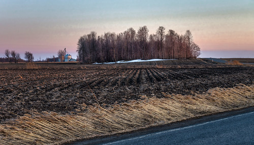 99 raw photoshopped tonemapped saintvalentin agriculture cornfield field landscape sunset spring trees explore