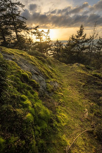 sunset mossy trees sky mountain green forest hike washington skagit fidalgo