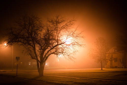 street trees mist misty night parkinglot glow darkness streetlamp orangelight grinnell
