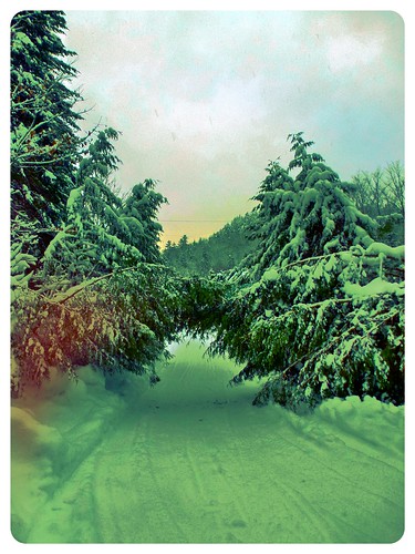 winter snow canada landscape december arch country evergreen snowscape me2youphotographylevel1