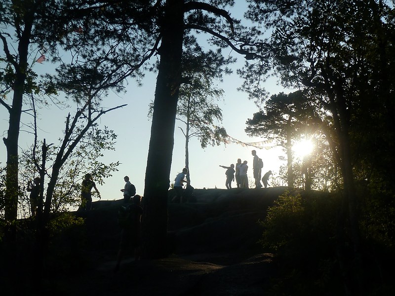 20150703-219F | auf dem südlichen (Søndre) Kolsås. Oslo, 03.07.2015