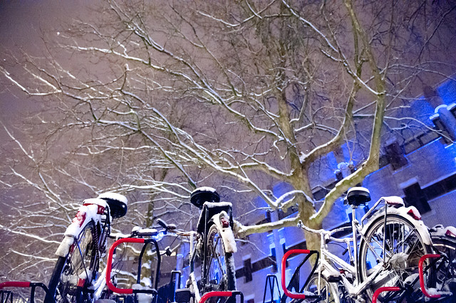 Bikeparking @ Utrecht Central