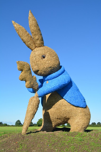 Snugburys Peter Rabbit
