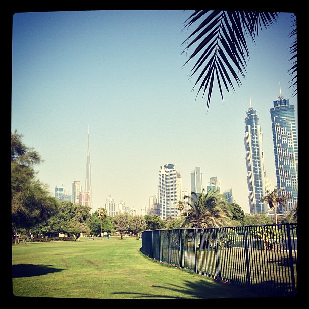 20120930_1349013408 See, Dubai does have greenery, not j… Flickr
