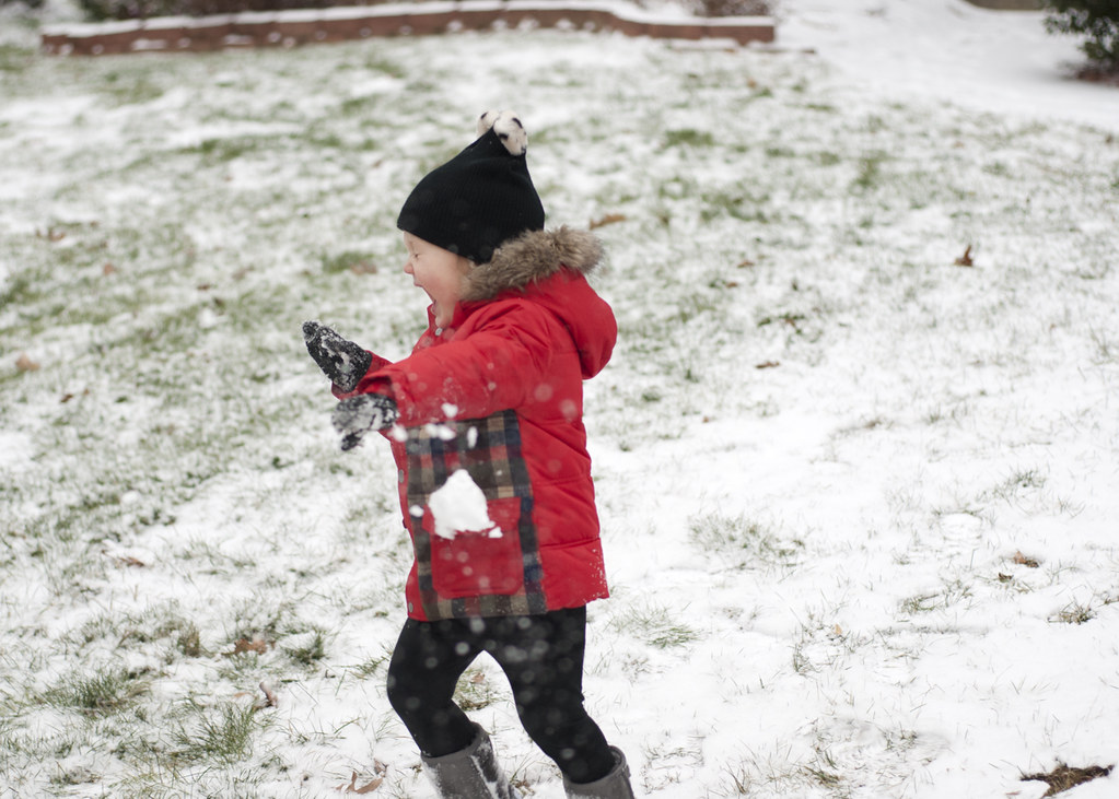 snow6