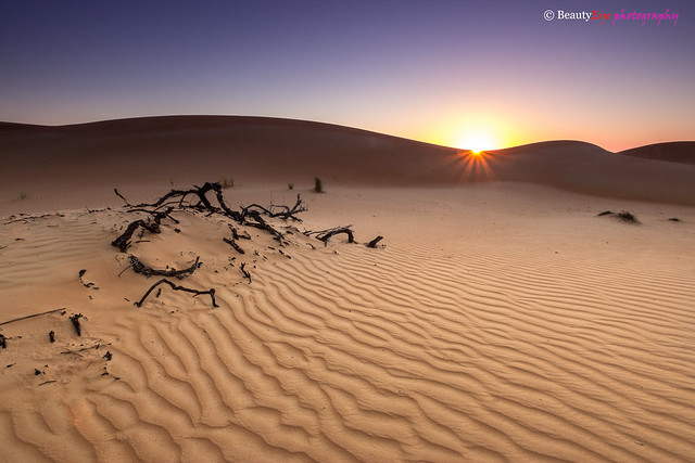 Oman - Sunrise at Wahiba Sands