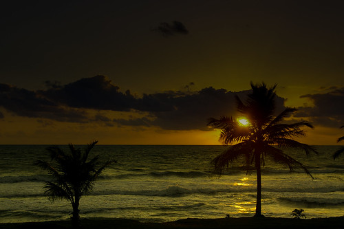 ocean water sunrise puertorico palmtree