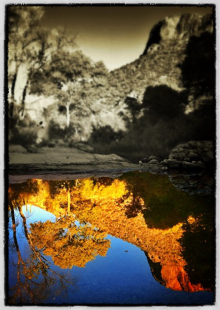 Evening reflection, Sabino Canyon