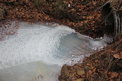 Foam in tributary of South Fork Pound
