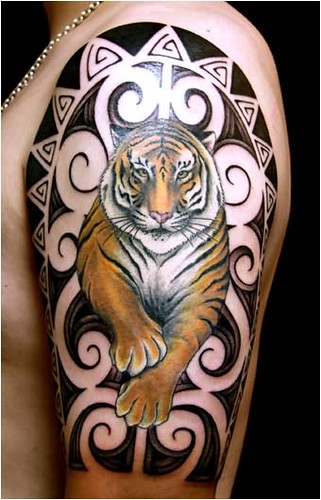 tiger-tattoo-designs | More Great Tattoo Ideas Are Available… | Flickr