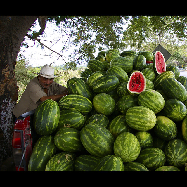 ~mount watermelon~