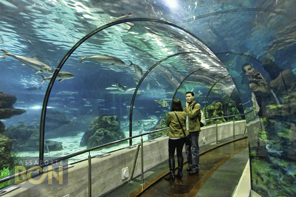 Acuario, Barcelona