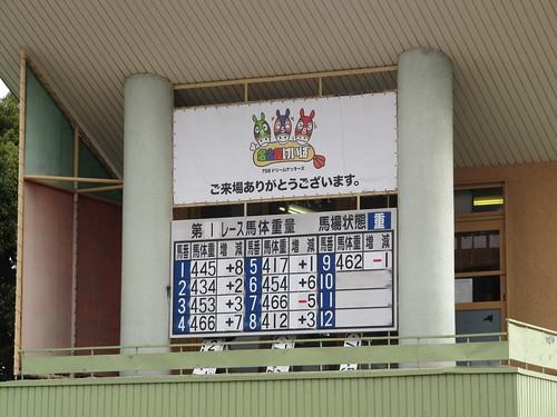 Nagoya Racecourse 名古屋競馬場のパドックの馬体重表