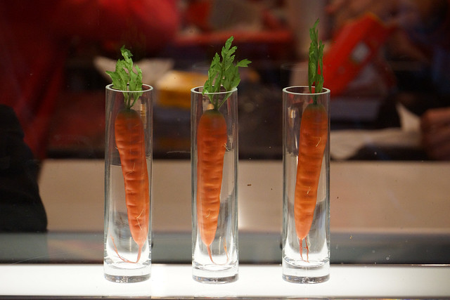 Plastic Carrots in Test Tubes