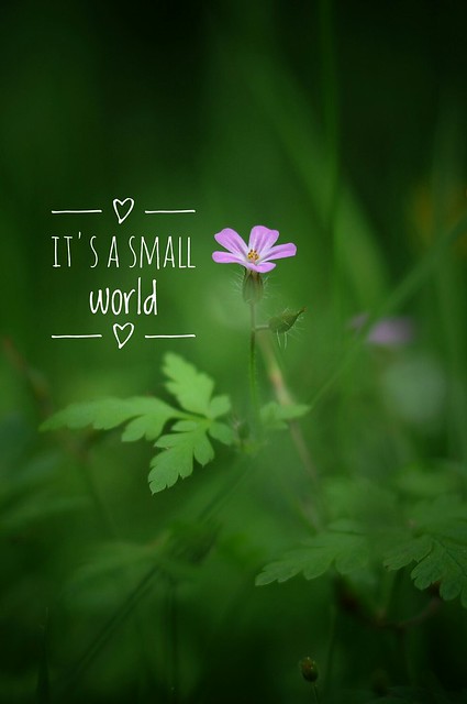 It´s a small world