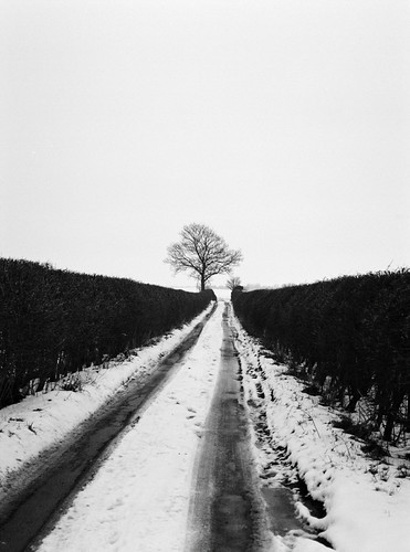 Not much traffic here | by IanAWood