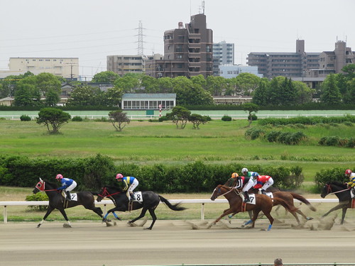 Nagoya Racecourse 名古屋競馬場の内馬場真ん中