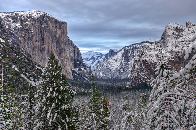 Snowy Late Afternoon in Yosemite