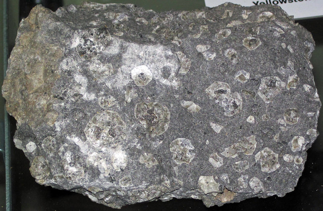 Porphyritic leucite lava (possibly phonolite) (Rome, Italy) 1