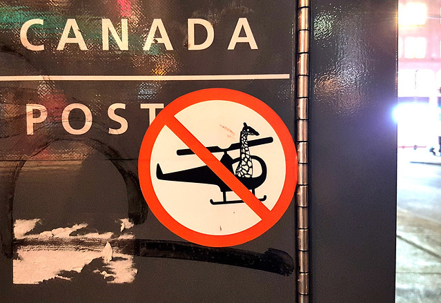 No Giraffe in Helicopters