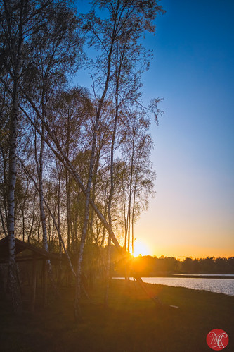 Woods at sunset.. 3 by Kasia Sokulska (KasiaBasic), Thank you all for your comments and faves!
Blog: <a href="http://www.miksmedia.photography/" rel="no