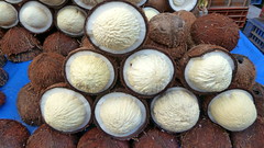 India Tamil Nadu Chennai Coconut 57 The Coconut Tr Flickr
