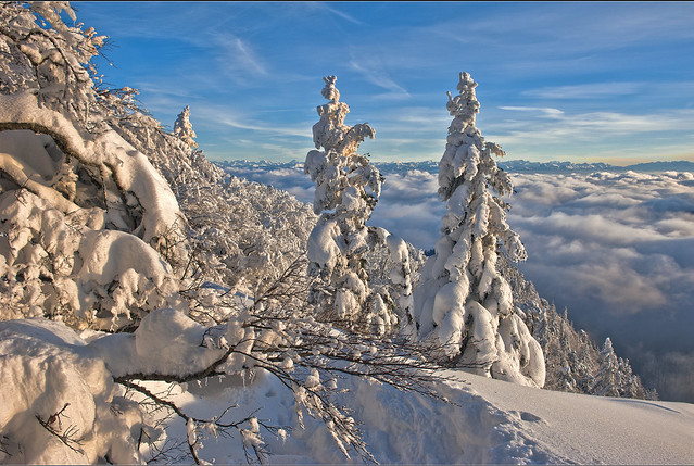 Les Rochers de Tablettes and the Alpes, Canton of Neuchâtel. in 12 12 12 . No. 1592.