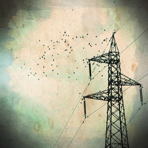 Affinities and intuitions | by aquagiugi