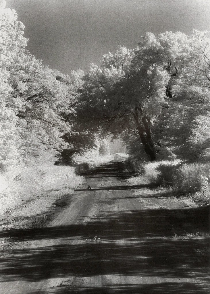 455 Country Road - Infrared