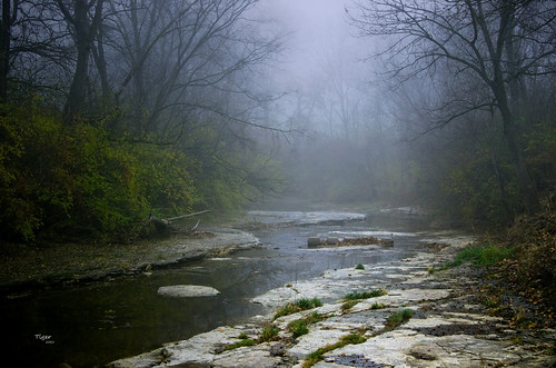 trees nature water fog creek landscape illinois nikon stream foggy southpark foggymorning quincyil nikond7000