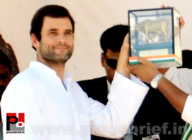 Rahul Gandhi addresses election rally in Gujarat 04