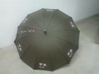 Paraguas Colección 2012