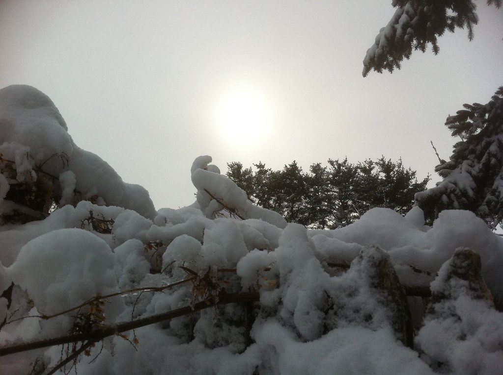 Winter Wonderland - The sun shining on the snow