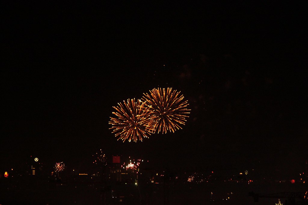 Feuerblumen 17 | Das Neujahrsfeuerwerk 2013 von der Kuppel d… | Flickr
