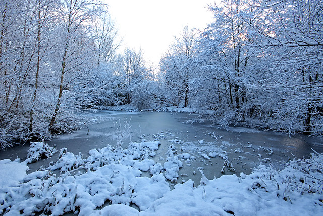 Winter in Wensum Park, Norwich